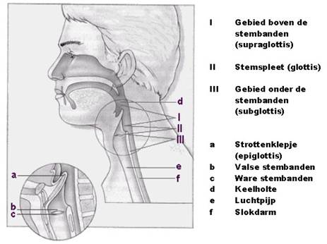 StemNL_clip_image008[1]