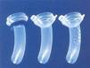 tracheostoma-caules