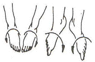 Afbeelding6