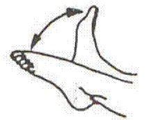 Afbeelding5