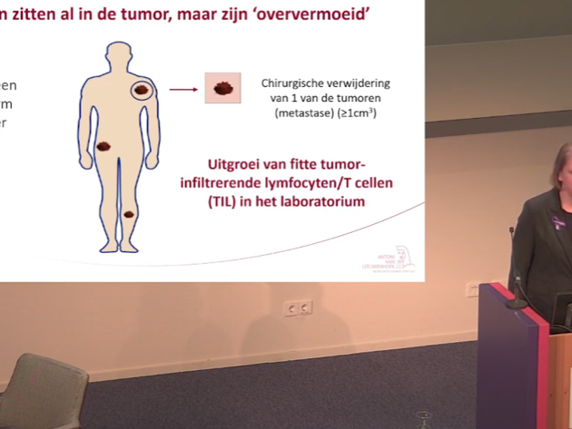 Still Inge Jedema Til Therapie Open Dag 2024