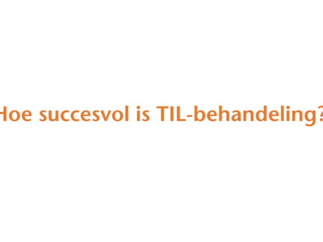 Succesvol Til Still