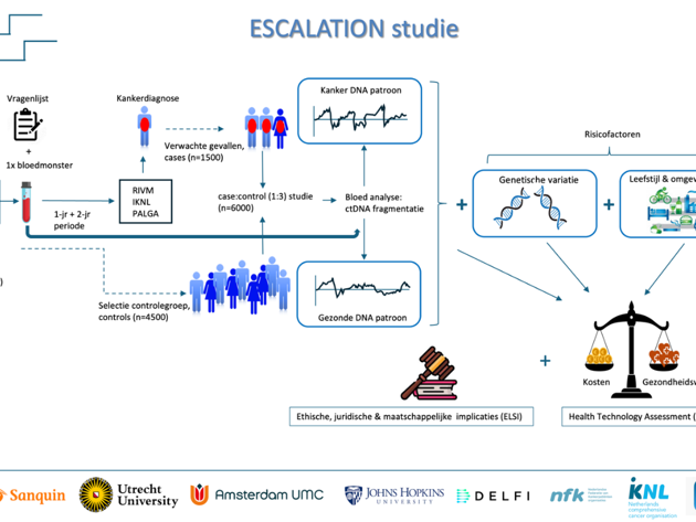 ESCALATION