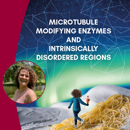 Banner AVL Jitske Bak