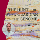 Banner AVL Nicolaas Boon