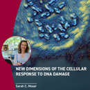 Banner AVL Sarah Moser