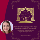 Banner AVL Chrysiida Baltira