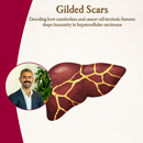 Banner AVL Daniel Taranto