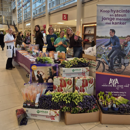 Hayacintenactie 2026