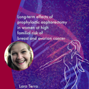 Banner AVL Lara Terra