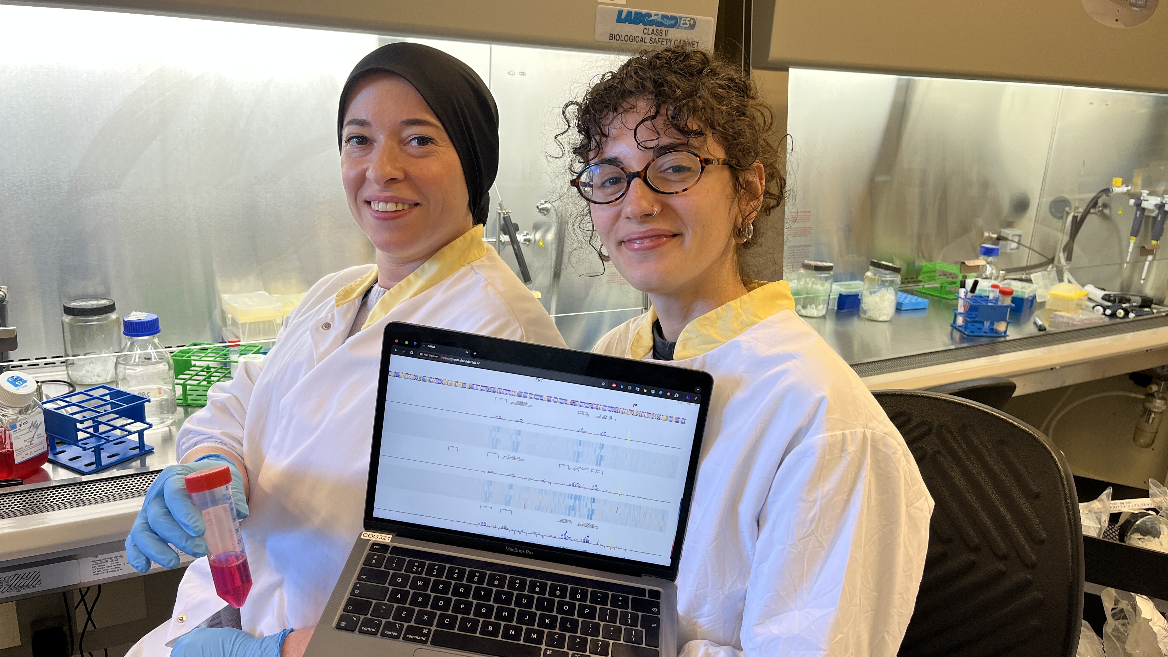 Wetenschappers krijgen vat op de gaspedalen van onze genen
