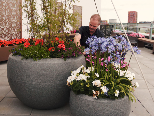 Dakterras Nieuw