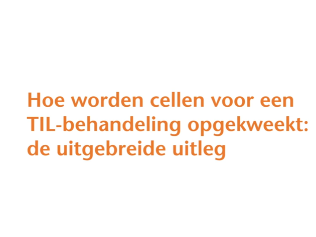 Uitgebreid Til Still