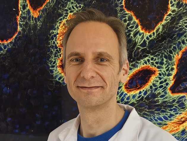 Jacco Van Rheenen EMBO
